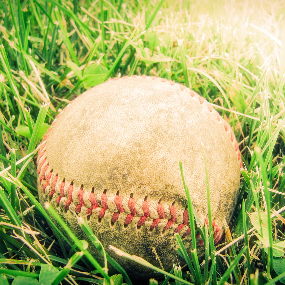 Baseball in grass
