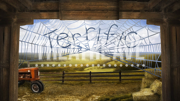 Terrific Barn Projection (Animated)