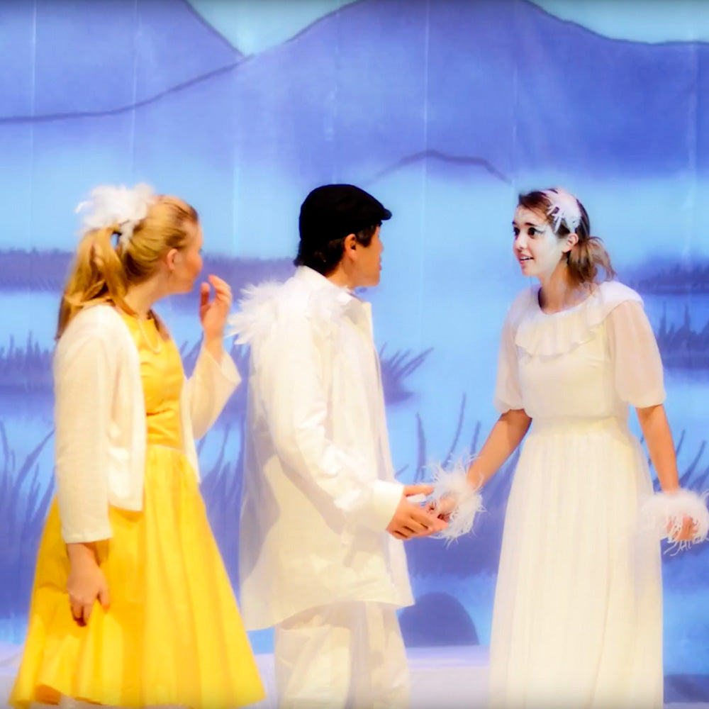 Community production of HONK with digital projection backdrops