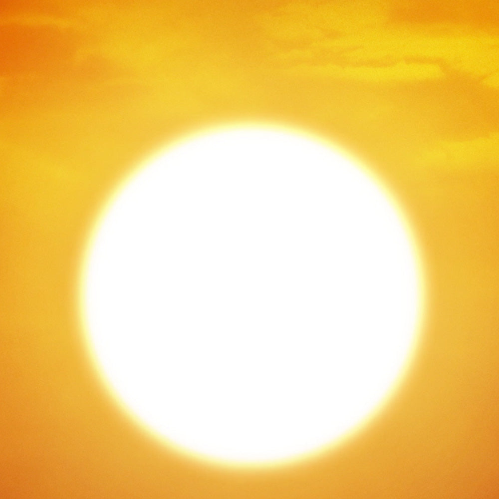 A collection of Lion King digital projections for community and school productions