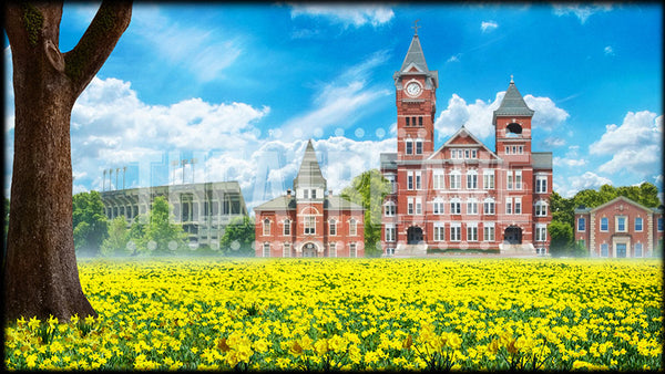 College Daffodils, a Big Fish projection backdrop and digital scenery by Theatre Avenue.