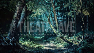 Dark Woods II, a Crucible projection backdrop and digital scenery by Theatre Avenue.