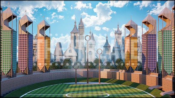 Fantasy Sports Field Projection