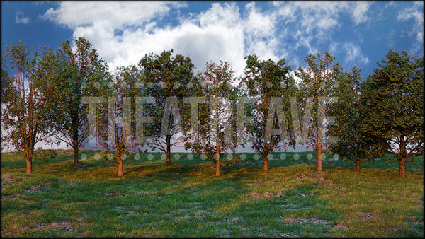 Hillside Trees, an All Shook Up scenic projection backdrop by Theatre Avenue.