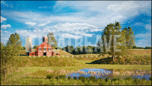 Pond Farm, a HONK projection backdrop and digital scenery by Theatre Avenue.