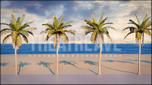 Venice Beach, a Xanadu animated projection backdrop and digital scenery by Theatre Avenue.