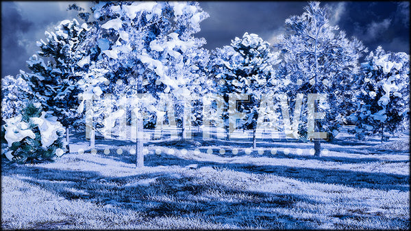 Wild Winter Woods, a Wind in the Willows projection backdrop and digital scenery by Theatre Avenue.