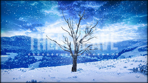 Winter Vista Snowfall, a Narnia projection backdrop by Theatre Avenue.