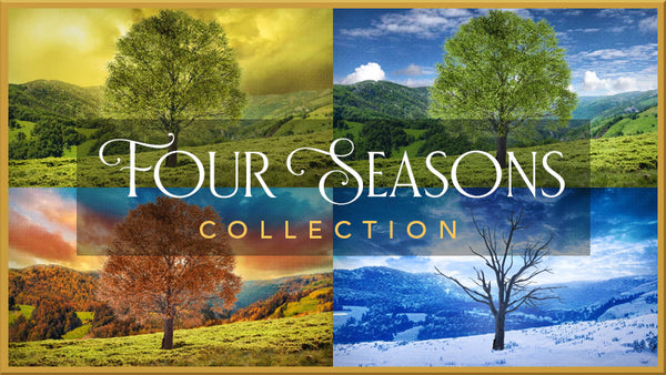 Four Seasons Collection (Projection Bundle)