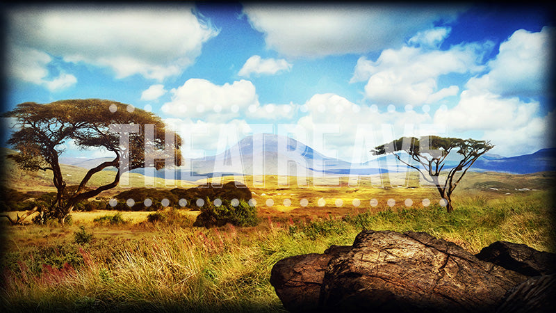 African Grasslands Background