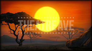 African Sunset digital projection backdrop for theatre and ballet productions of Lion King, Madagascar, and beyond.