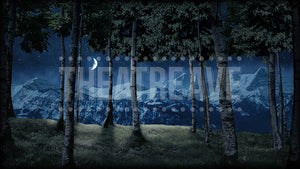 Birch Grove at Night, a digital projection backdrop perfect for theatrical and dance shows like Sound of Music, Shrek, and Giselle