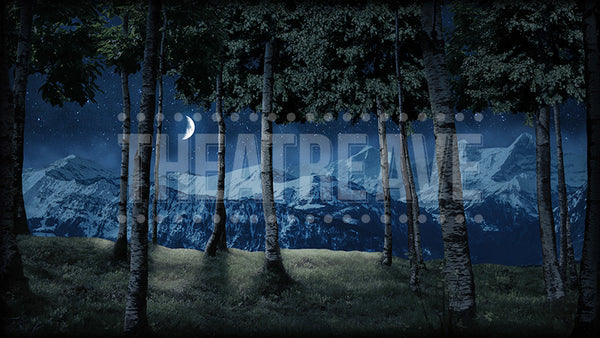 Birch Grove at Night, a digital projection backdrop perfect for theatrical and dance shows like Sound of Music, Shrek, and Giselle