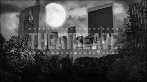 Central Park at Night, a retro theatre projection by Theatre Avenue.