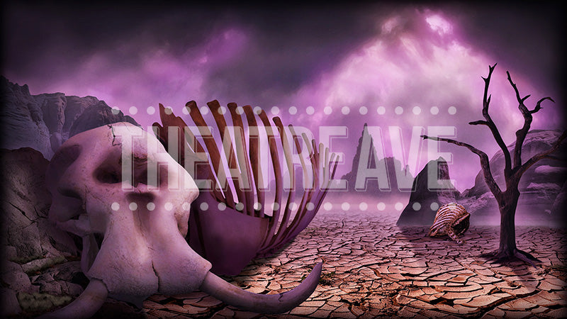 Elephant Graveyardアラビアンナイト