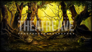 Enchanted Forest, a digital projection backdrop perfect for ballet and theatre shows like Wizard of Oz and Big Fish