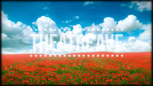 Poppy Field, a digital theatre projection backdrop perfect for shows like Wizard of Oz