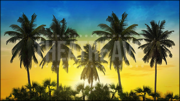 Palm Tree Vista III, a Moana projection backdrop by Theatre Avenue.