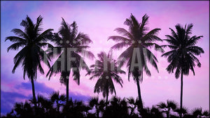 Palm Tree Vista II, a Mamma Mia projection backdrop by Theatre Avenue