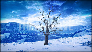 Winter Vista, an animated projection backdrop by Theatre Avenue.