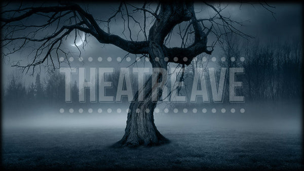 Twisted Tree at Night, a digital backdrop projection perfect for shows like Sleepy Hollow on stage.